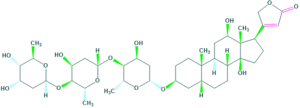 structure of digoxin