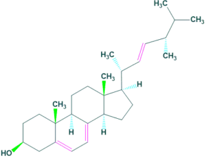 structure of ergosterol