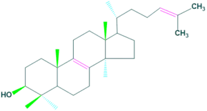 structure of lanosterol