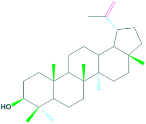 structure of lupeol