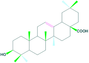 structure of oleanolic acid