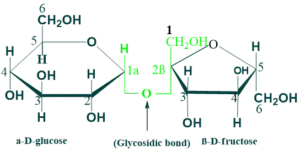 sucrose