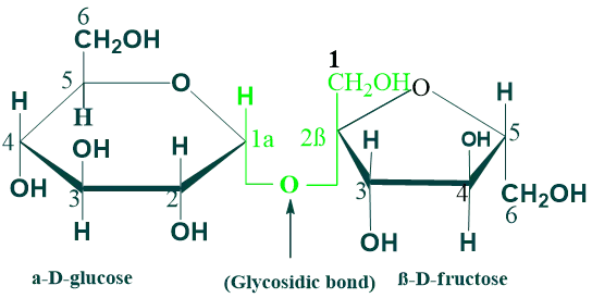 sucrose