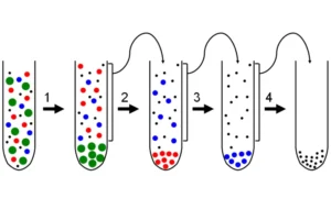 systematic diagram of separation by centrifugation