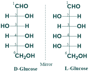 D-and-L-isomerism-