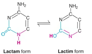 tautomeric forms of cytosine
