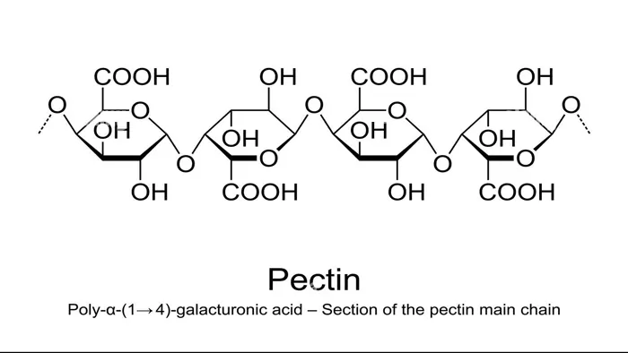Polysaccharide Examples: Definition, Structure, Types, and Functions 8 pectin structure