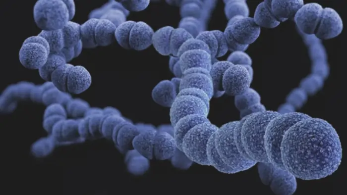 Polysaccharide Examples: Definition, Structure, Types, and Functions 1 polysaccharides