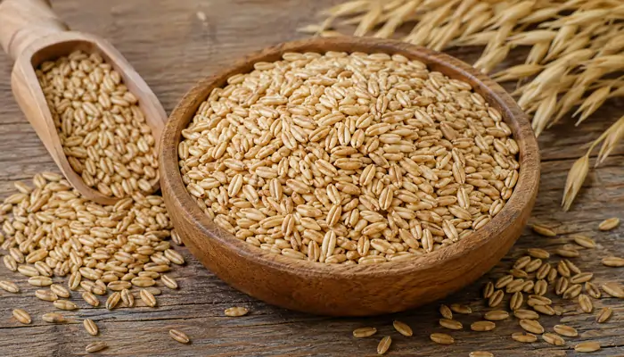 A wooden bowl filled to the brim with raw whole oat groats, surrounded by scattered grains, a wooden scoop, and dried oat stalks on a rustic surface