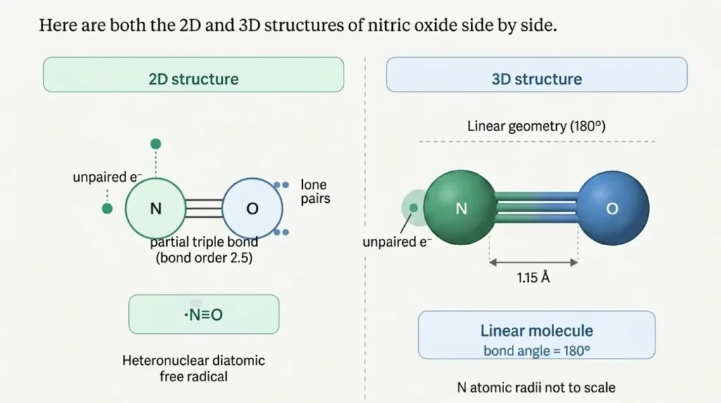 structure of nitric oxide