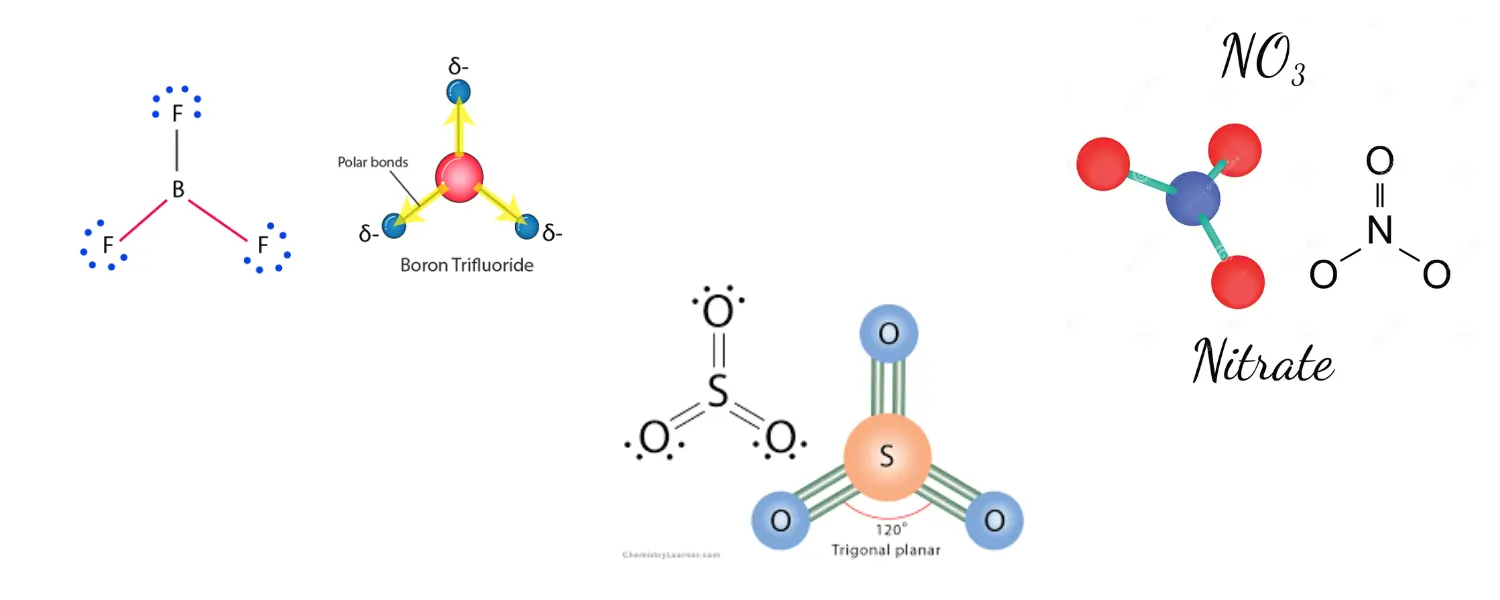 trigonal planar bond angle examples