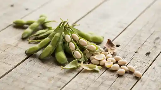 is soybean gluten free