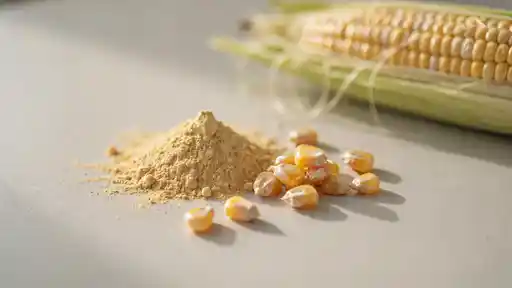 zein protein